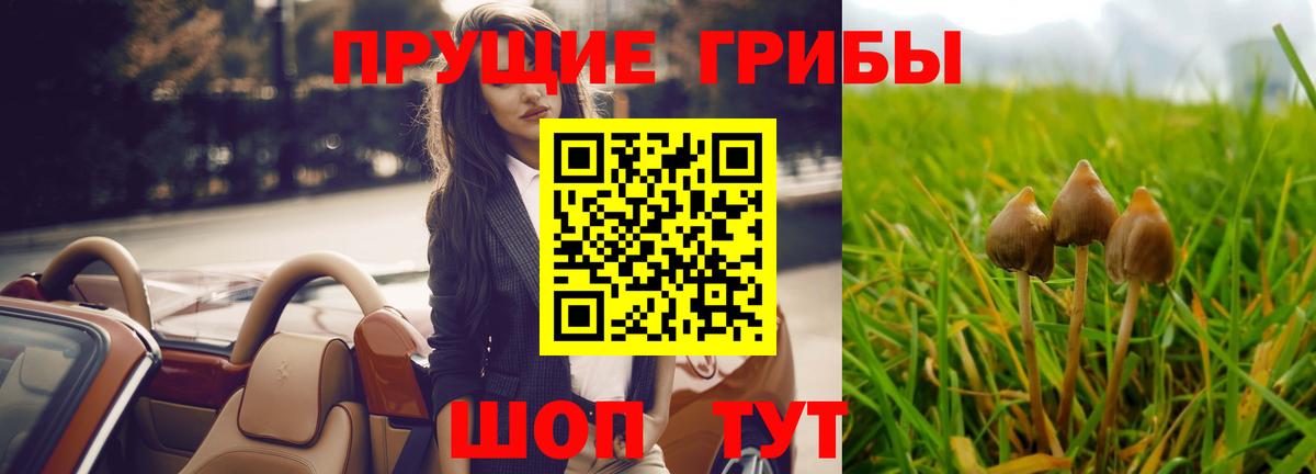 Псилоцибиновые грибы мицелий Чебаркуль